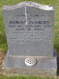 image of grave number 489925